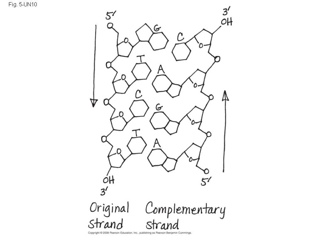 Fig. 5-UN10